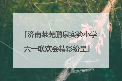 济南莱芜鹏泉实验小学六一联欢会精彩纷呈