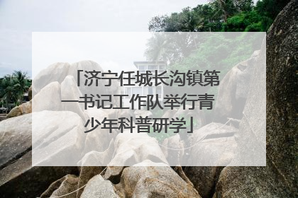 济宁任城长沟镇第一书记工作队举行青少年科普研学