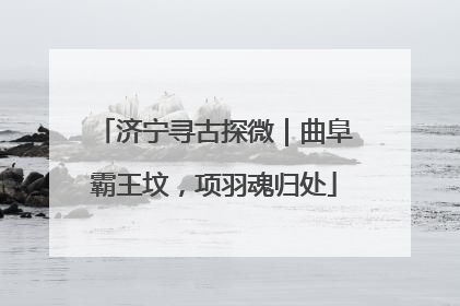 济宁寻古探微｜曲阜霸王坟，项羽魂归处