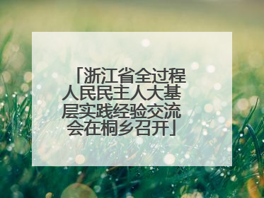 浙江省全过程人民民主人大基层实践经验交流会在桐乡召开
