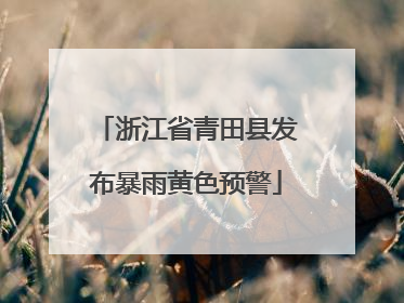 浙江省青田县发布暴雨黄色预警