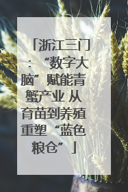 浙江三门：“数字大脑”赋能青蟹产业 从育苗到养殖重塑“蓝色粮仓”