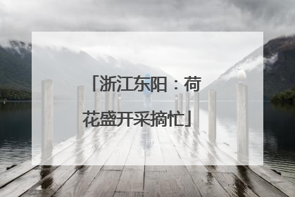 浙江东阳：荷花盛开采摘忙
