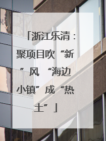 浙江乐清：聚项目吹“新”风 “海边小镇”成“热土”