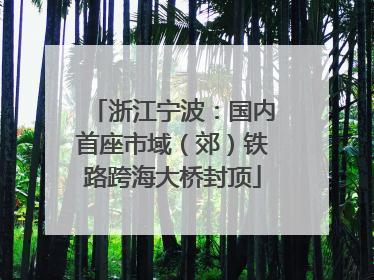 浙江宁波：国内首座市域（郊）铁路跨海大桥封顶