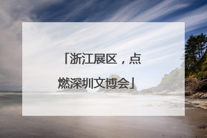 浙江展区，点燃深圳文博会