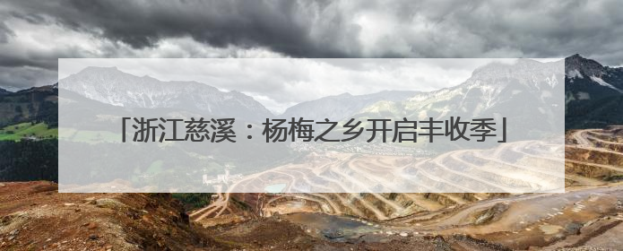浙江慈溪：杨梅之乡开启丰收季