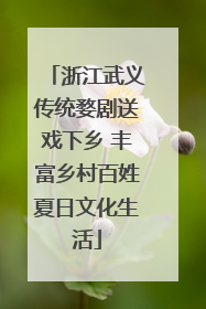 浙江武义传统婺剧送戏下乡 丰富乡村百姓夏日文化生活