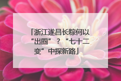浙江遂昌长粽何以“出圈”？“七十二变”中探新路