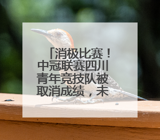 消极比赛！中冠联赛四川青年竞技队被取消成绩，未来两年禁赛