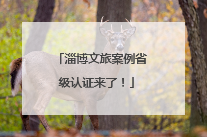 淄博文旅案例省级认证来了！