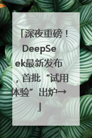 深夜重磅！DeepSeek最新发布，首批“试用体验”出炉→