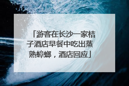 游客在长沙一家桔子酒店早餐中吃出蒸熟蟑螂，酒店回应