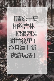 清凉一夏 相约吉林｜把银河装进竹筏里！净月潭上新夜游玩法