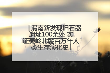 渭南新发现旧石器遗址100余处 实证秦岭北麓百万年人类生存演化史