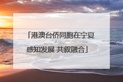 港澳台侨同胞在宁夏感知发展 共叙融合