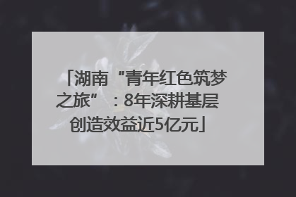 湖南“青年红色筑梦之旅”：8年深耕基层创造效益近5亿元
