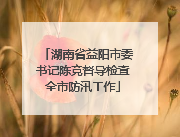 湖南省益阳市委书记陈竞督导检查全市防汛工作