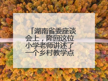 湖南省委座谈会上，隆回这位小学老师讲述了一个乡村教学点的温暖故事