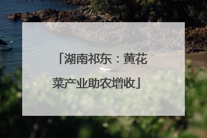 湖南祁东：黄花菜产业助农增收