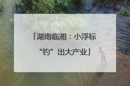 湖南临湘：小浮标“钓”出大产业