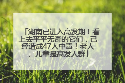 湖南已进入高发期！看上去平平无奇的它们，已经造成47人中毒！老人、儿童是高发人群