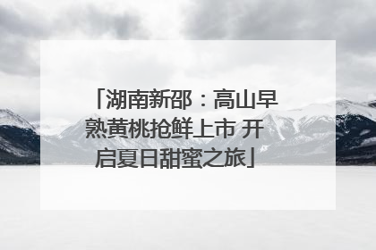 湖南新邵：高山早熟黄桃抢鲜上市 开启夏日甜蜜之旅