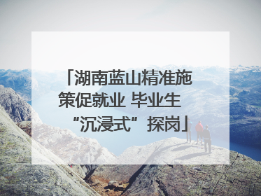 湖南蓝山精准施策促就业 毕业生“沉浸式”探岗