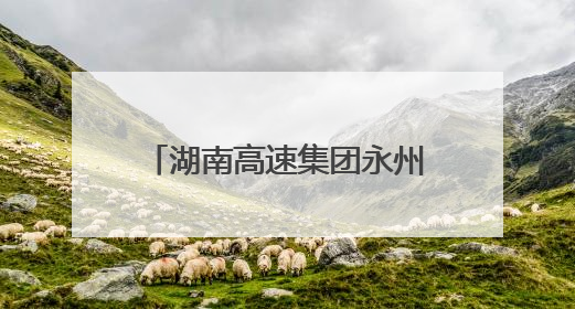 湖南高速集团永州分公司永州中心收费大站：党建+班组，焕发内在活力