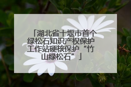 湖北省十堰市首个绿松石知识产权保护工作站硬核保护“竹山绿松石”