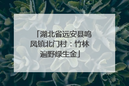 湖北省远安县鸣凤镇北门村：竹林遍野绿生金