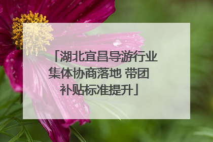 湖北宜昌导游行业集体协商落地 带团补贴标准提升