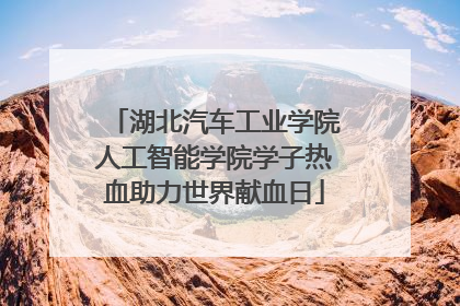 湖北汽车工业学院人工智能学院学子热血助力世界献血日