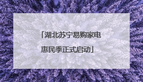 湖北苏宁易购家电惠民季正式启动