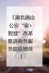 湖北通山公安“家+智慧”改革推进政务服务提质增效