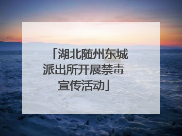 湖北随州东城派出所开展禁毒宣传活动