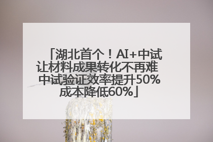 湖北首个！AI+中试让材料成果转化不再难 中试验证效率提升50%成本降低60%