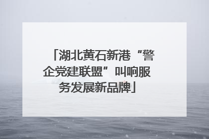 湖北黄石新港“警企党建联盟”叫响服务发展新品牌
