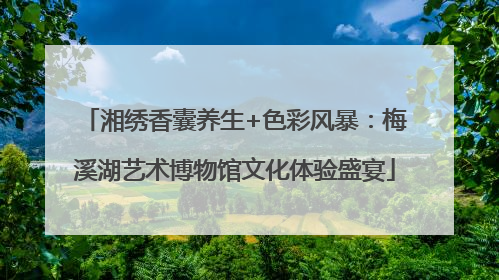 湘绣香囊养生+色彩风暴：梅溪湖艺术博物馆文化体验盛宴
