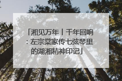 湘见万年丨千年回响：左宗棠家传七弦琴里的湖湘精神印记