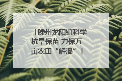滕州龙阳镇科学抗旱保苗 力保万亩农田“解渴”