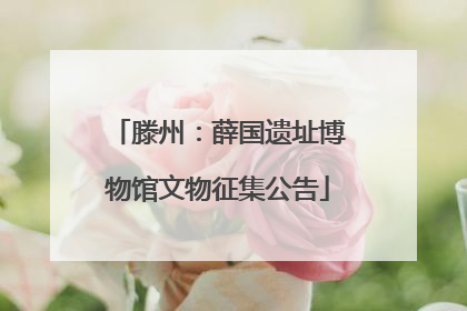 滕州：薛国遗址博物馆文物征集公告