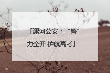 漯河公安：“警”力全开 护航高考