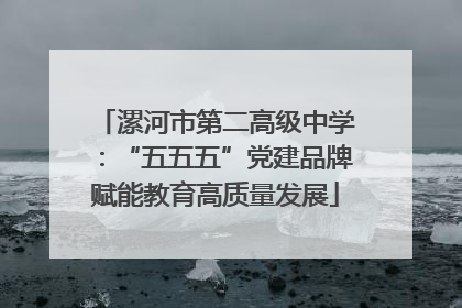 漯河市第二高级中学：“五五五”党建品牌赋能教育高质量发展