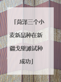 菏泽三个小麦新品种在新疆戈壁滩试种成功