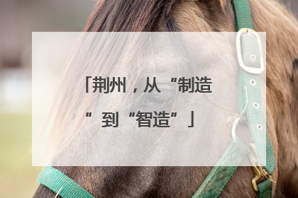 荆州，从“制造”到“智造”