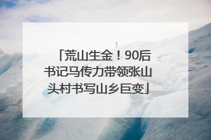 荒山生金！90后书记马传力带领张山头村书写山乡巨变