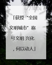 获授“全国文明城市”称号文明 兴化，何以动人