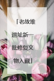 老故堆遗址新一批修复文物入藏