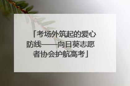 考场外筑起的爱心防线——向日葵志愿者协会护航高考